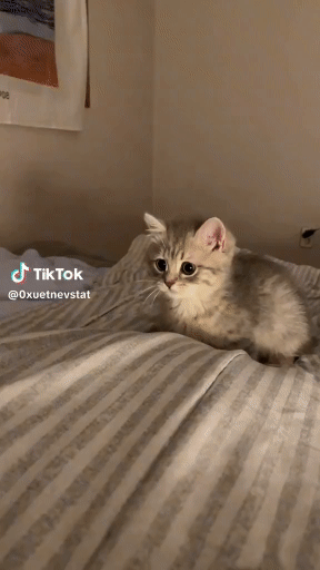 Download.gif