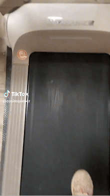 Download (44).gif