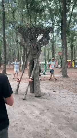 bobl1707185377_1345260309.gif