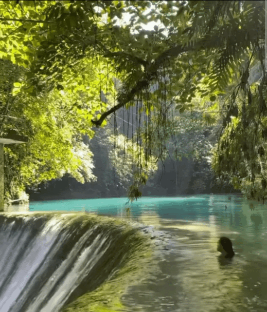 pic_004.gif