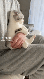 Download (2).gif
