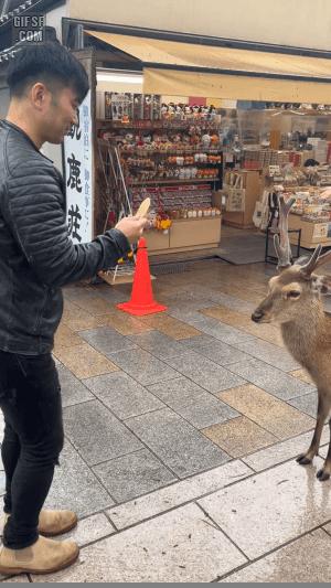 gifsf.com-0010 (2).gif