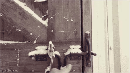 CAoe1707108387_1310288820.gif