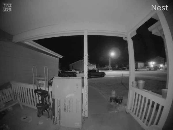 gifsf.com-0009 (3).gif
