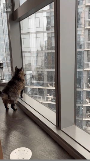 gifsf.com-0003 (2).gif