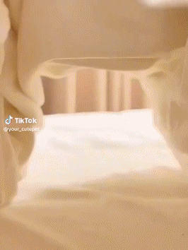 Download (25).gif