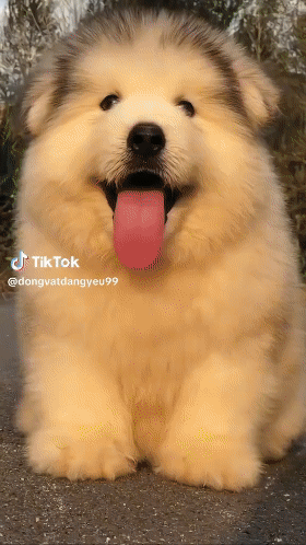 Download (30).gif