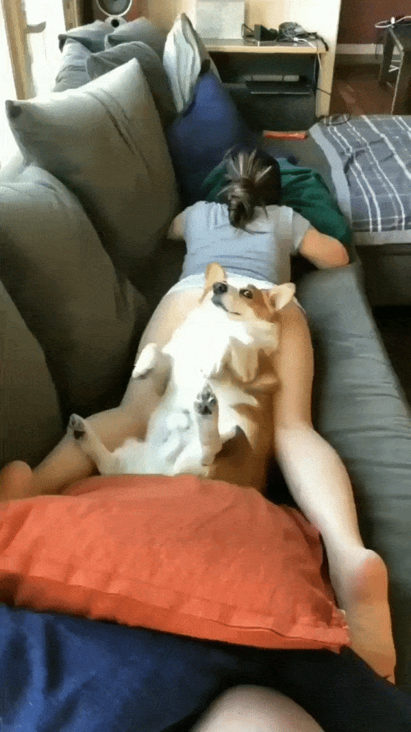 1707902495.gif
