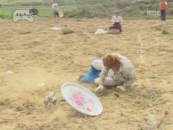1706496933.gif