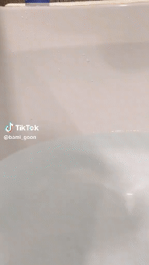 Download (8).gif
