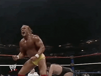 giphy (6).gif